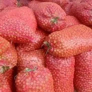 大金星打浆果量大优惠山楂果