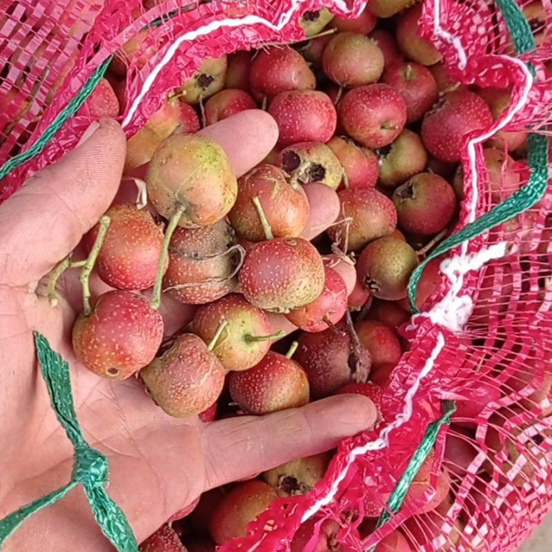 大金星打浆果量大优惠山楂果