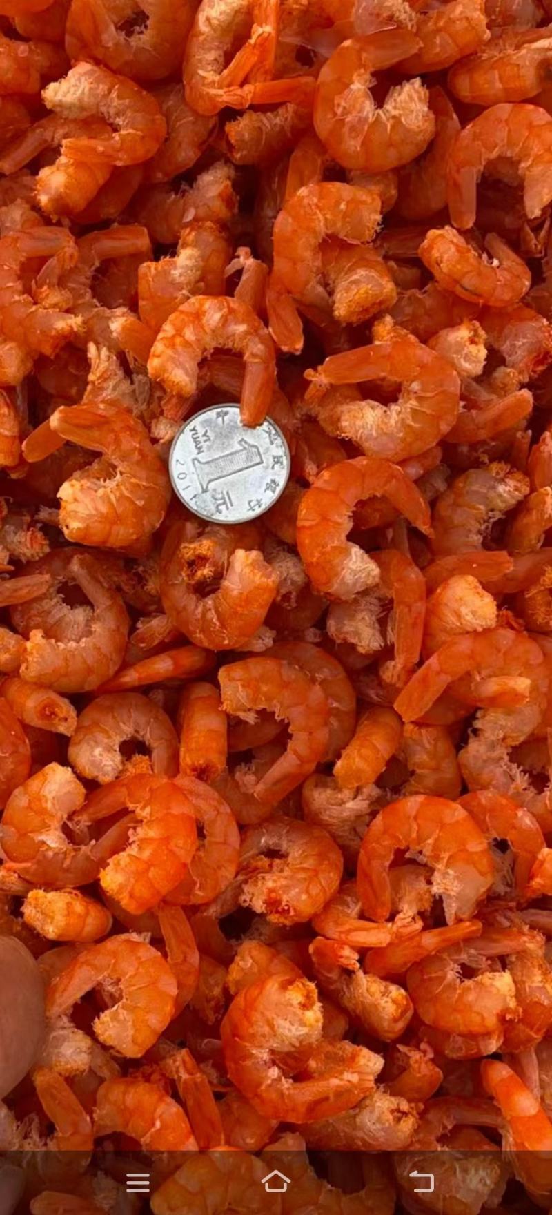 大虾海米60一斤，个头大，干度好