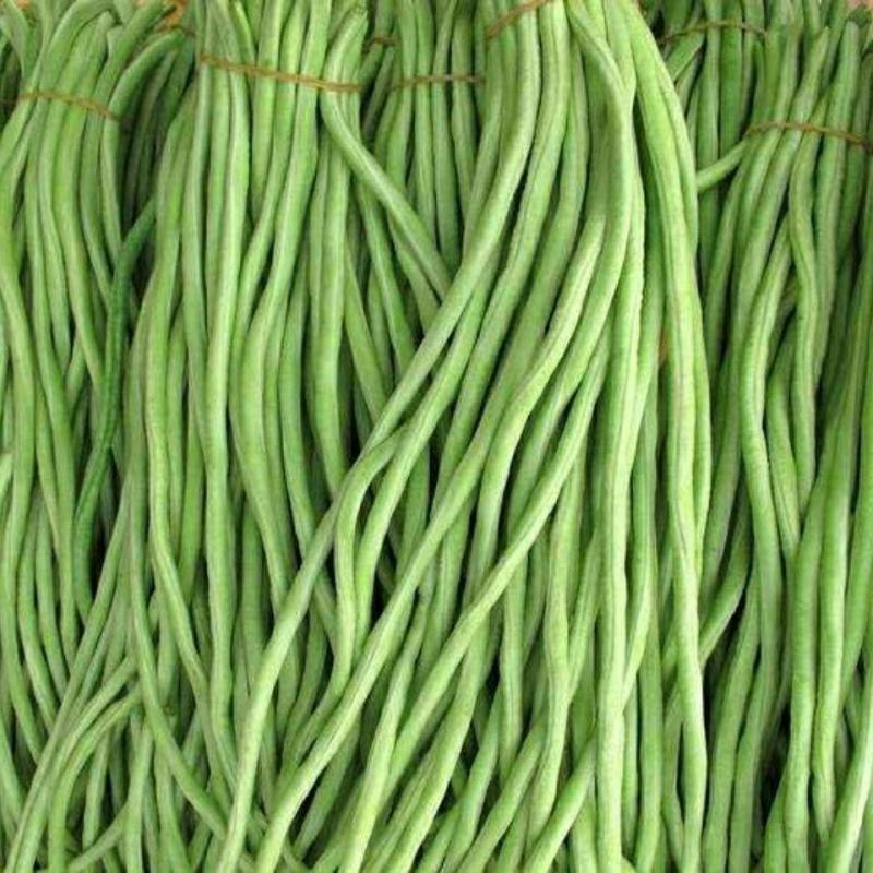 新鲜豇豆长豆角新鲜农家蔬菜自种当季现摘时令蔬菜新鲜菜豆酸