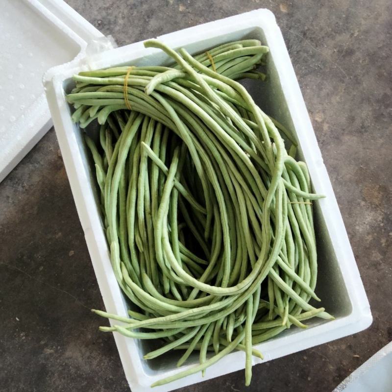 新鲜豇豆长豆角新鲜农家蔬菜自种当季现摘时令蔬菜新鲜菜豆酸
