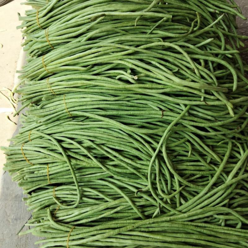 新鲜豇豆长豆角新鲜农家蔬菜自种当季现摘时令蔬菜新鲜菜豆酸