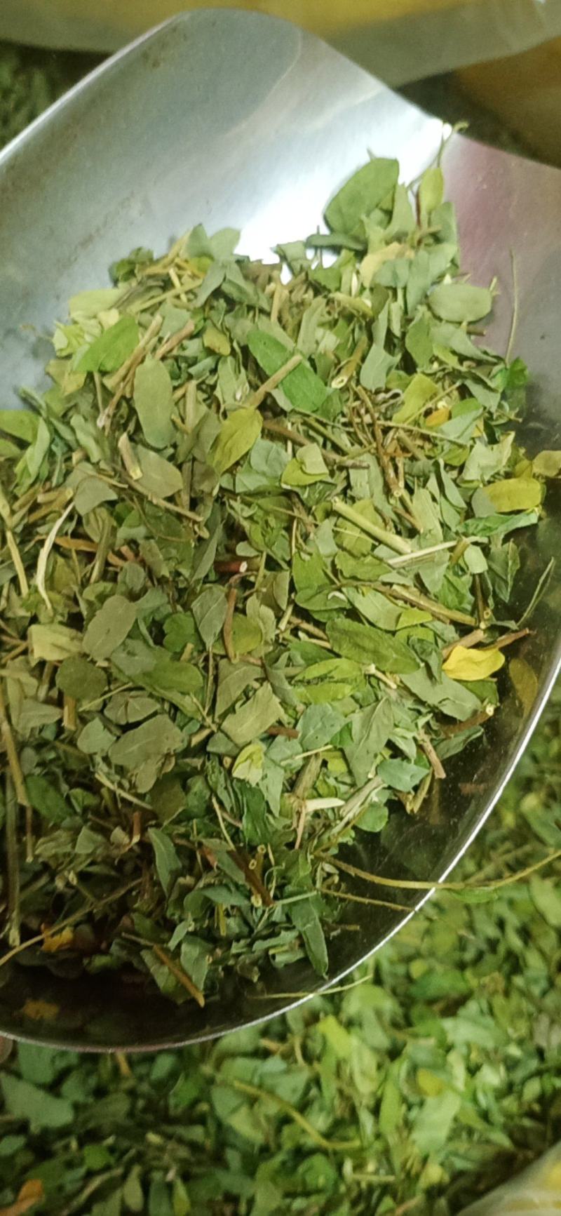 广西金秀大瑶山特产鸡骨草，喝了一口，回味无穷
