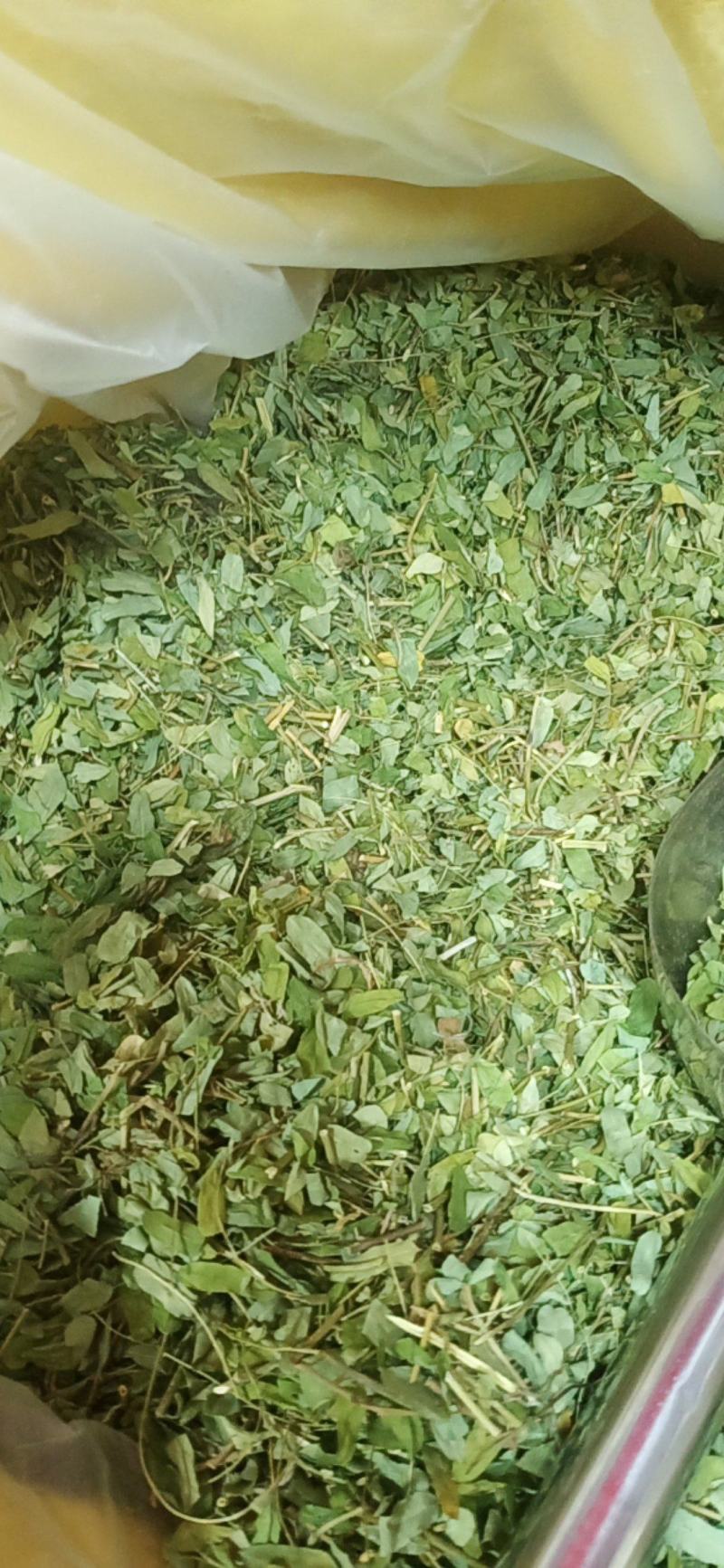 广西金秀大瑶山特产鸡骨草，喝了一口，回味无穷