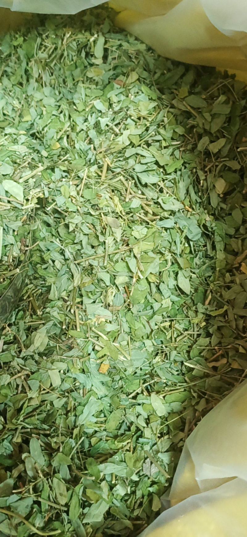广西金秀大瑶山特产鸡骨草，喝了一口，回味无穷