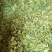广西金秀大瑶山特产鸡骨草，喝了一口，回味无穷