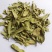 罗布麻叶罗布麻统产地新疆地道药材紫轩堂药业