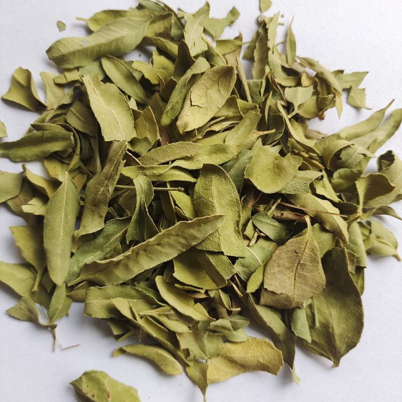 罗布麻叶罗布麻统产地新疆地道药材紫轩堂药业