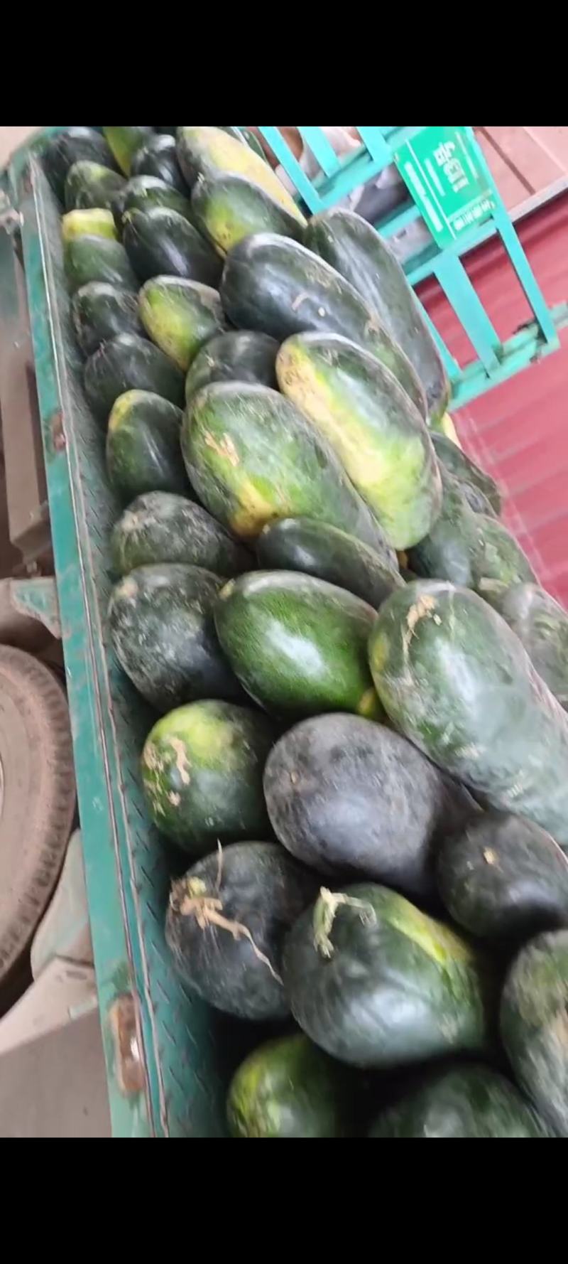 我是河北省邯郸市永年区黑皮冬瓜市场，大量有货，需要联系我