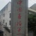 红油香椿，香椿基地，根须苗，露天苗