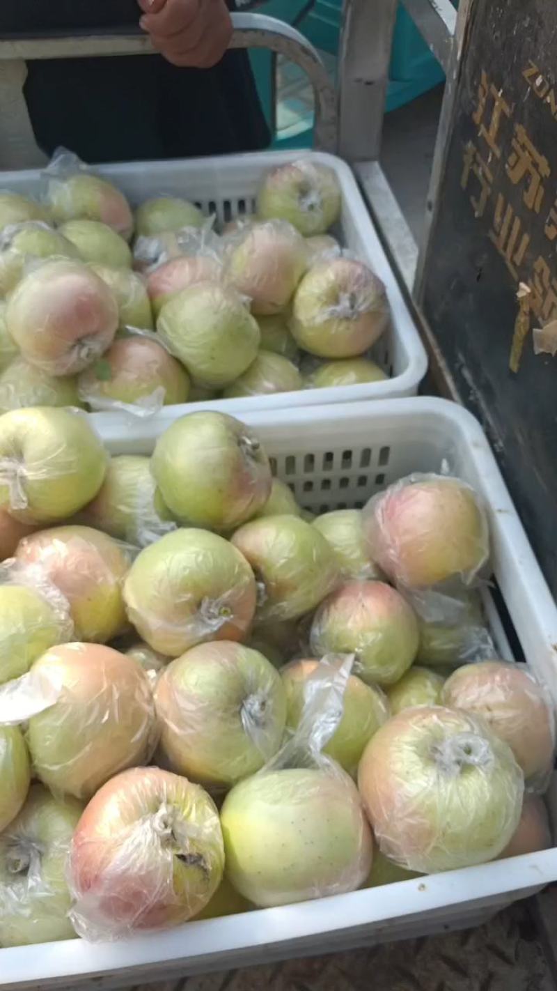 金帅苹果大量上市《精品》口感脆，电商货市场货，现摘现发货