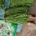 缸豆角冬作物预售订货
