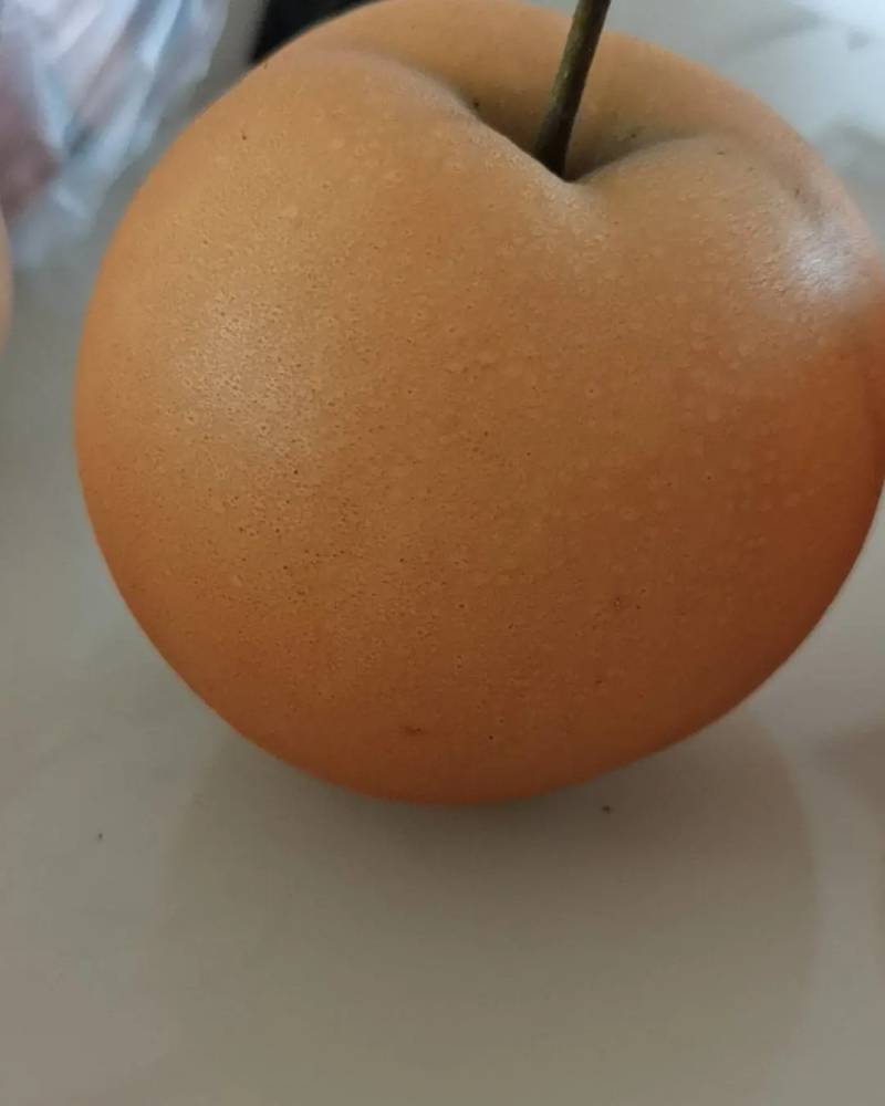 河南秋月梨产地黄梨口感佳保质保量欢迎来电采购
