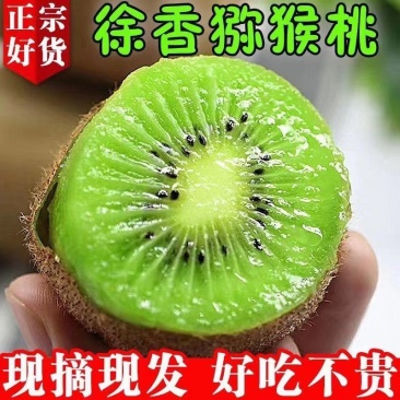 陕西徐香猕猴桃绿心猕猴桃-产地直销果大型好