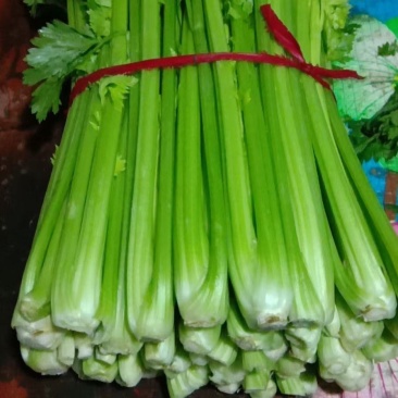 精品西芹