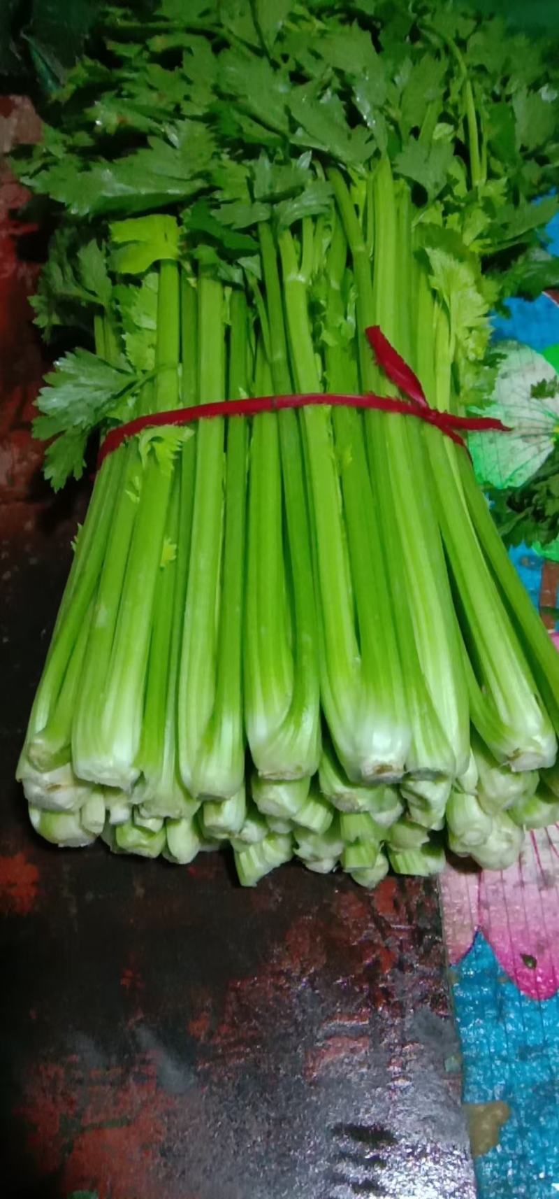 精品西芹