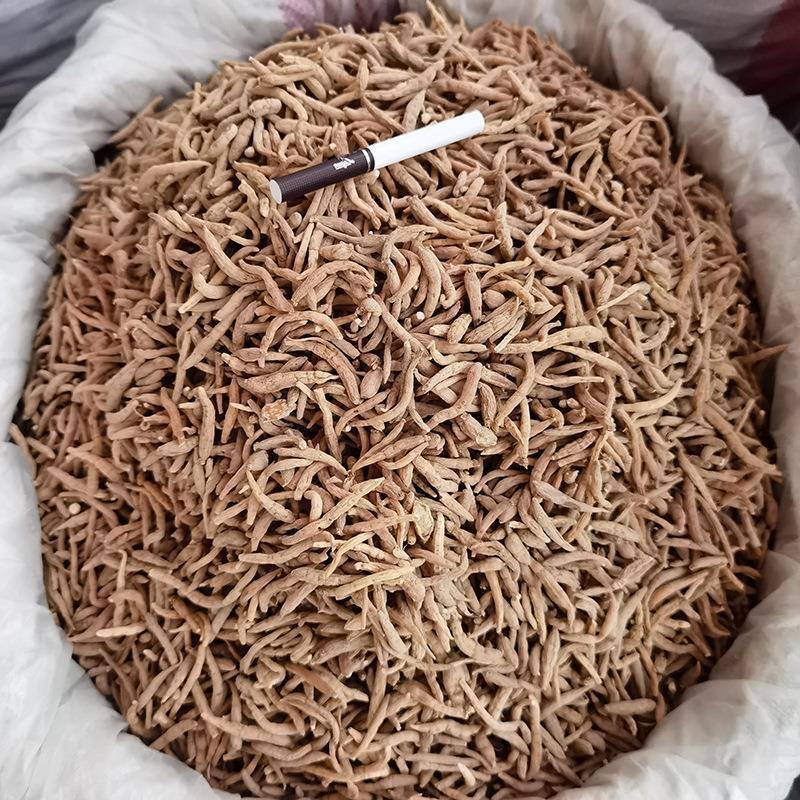 包邮太子参贵州新货多种规格颜色好批发太子参干