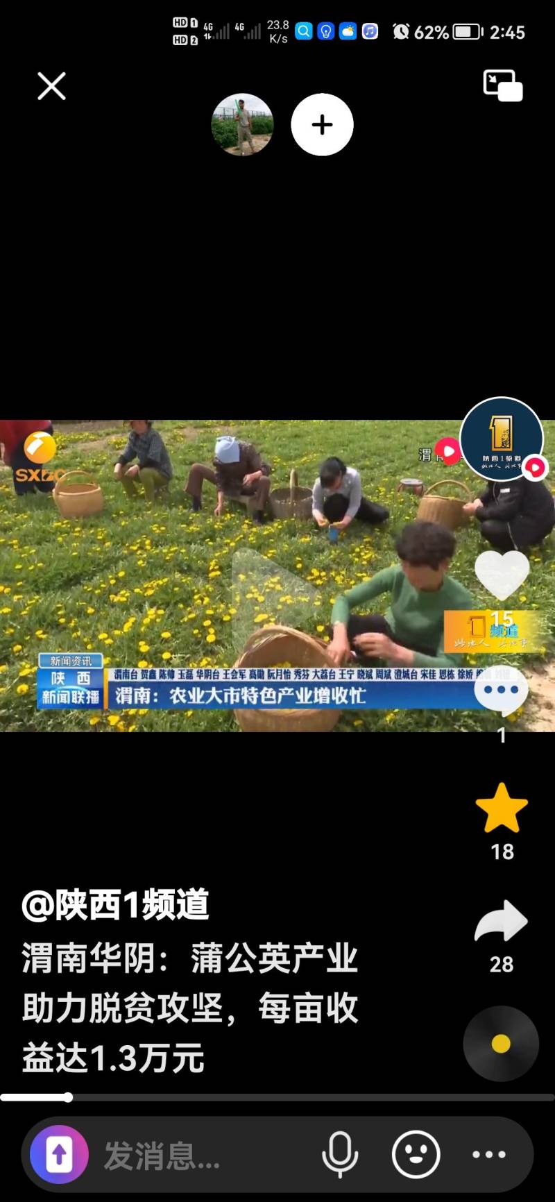 蒲公英原产地直达，大小单子都可以接单