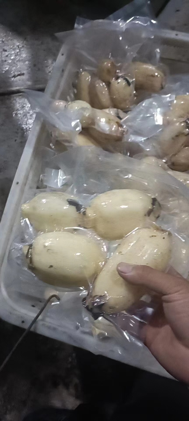 真空藕断基地直发一手货源品种齐全