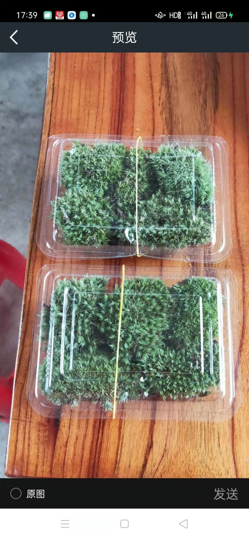 白发藓盒装，100盒120元起包邮，盆景铺面，庭院造景，