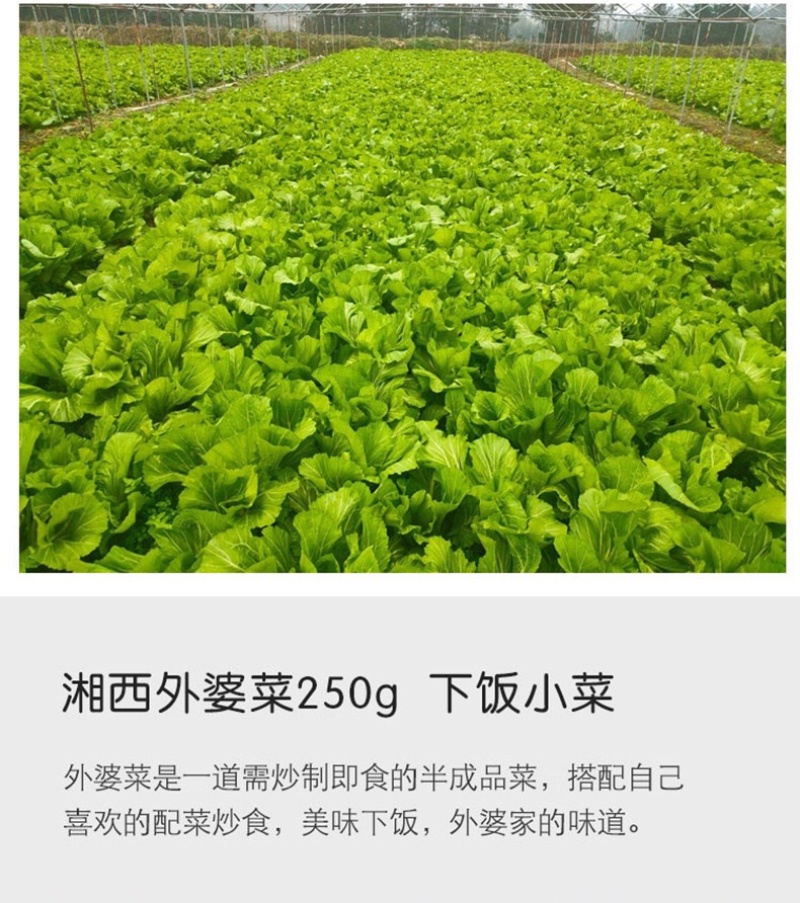 【梅菜扣肉】抖音同款湘西外婆菜批发需要炒免切下饭菜