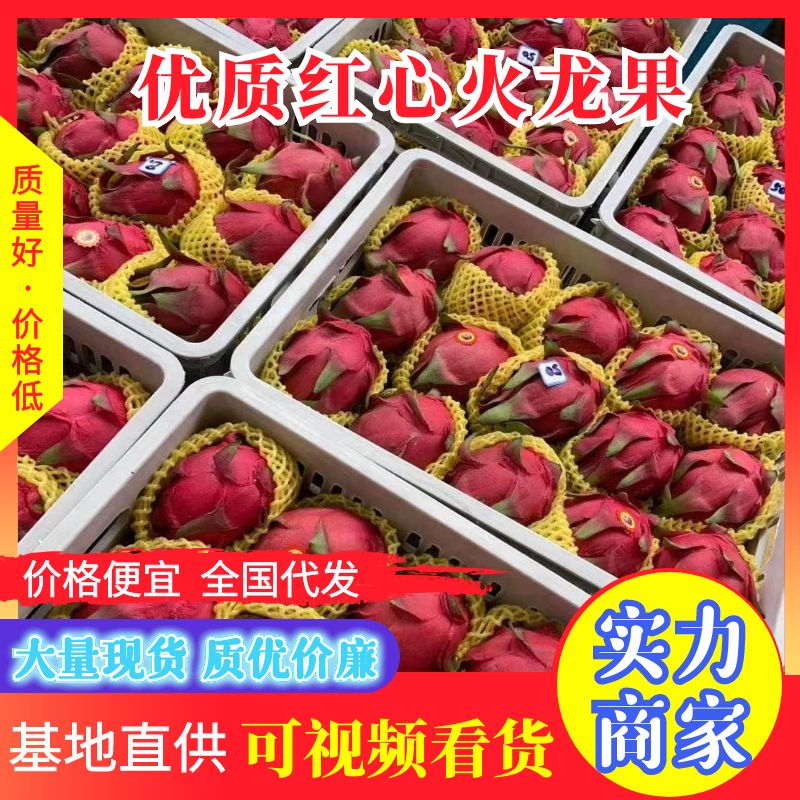 《优选红心火龙果》广西产地一手货源，大量供应对接全国电商