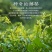 野生莓茶（滕茶）