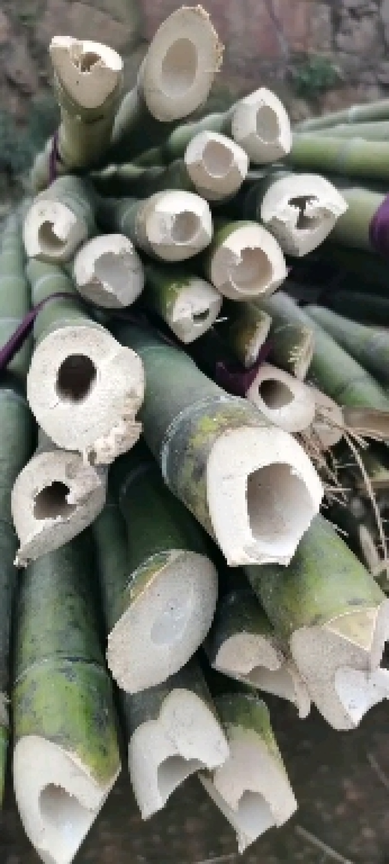 优质大棚竹竿，山药网架，冬瓜架