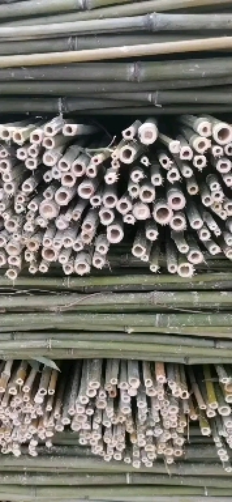 竹竿，菜架竹，架条，撑竿质量保证量大优惠欢迎选购