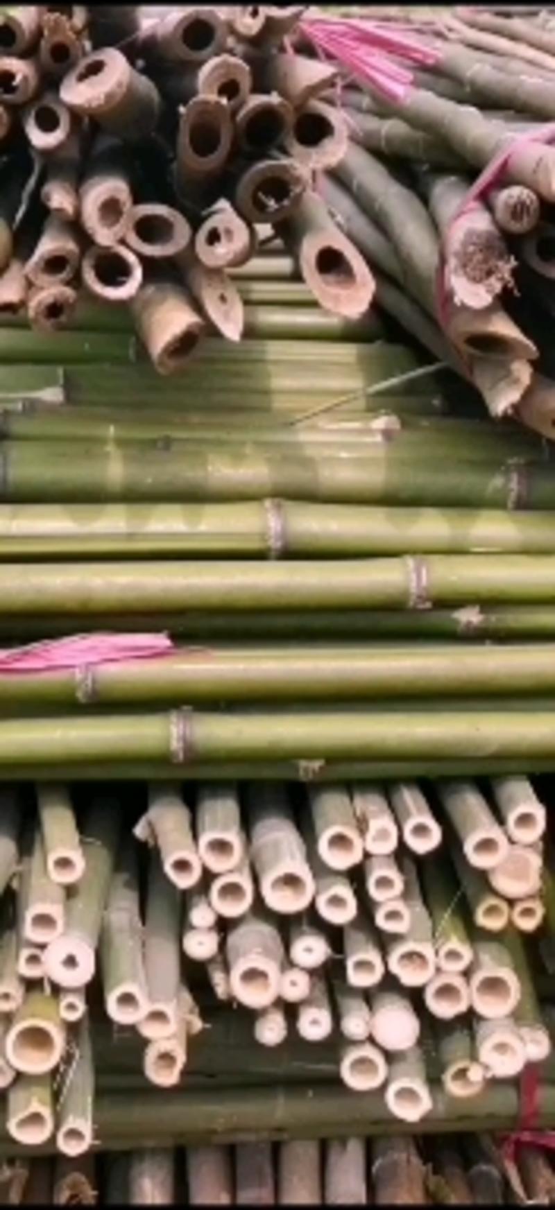 竹竿，菜架竹，架条，撑竿质量保证量大优惠欢迎选购