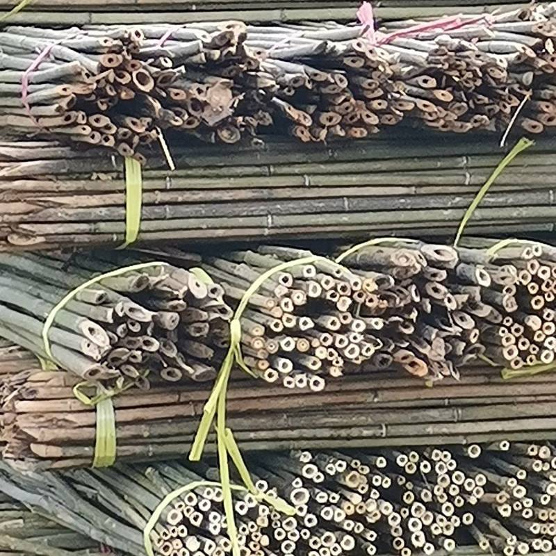 竹竿，菜架竹，架条，撑竿质量保证量大优惠欢迎选购