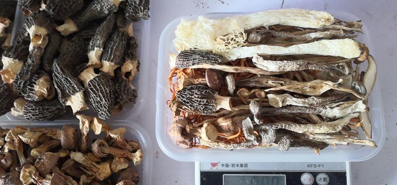 伏牛山八珍菌菇汤包80克采用上等食材健康美味