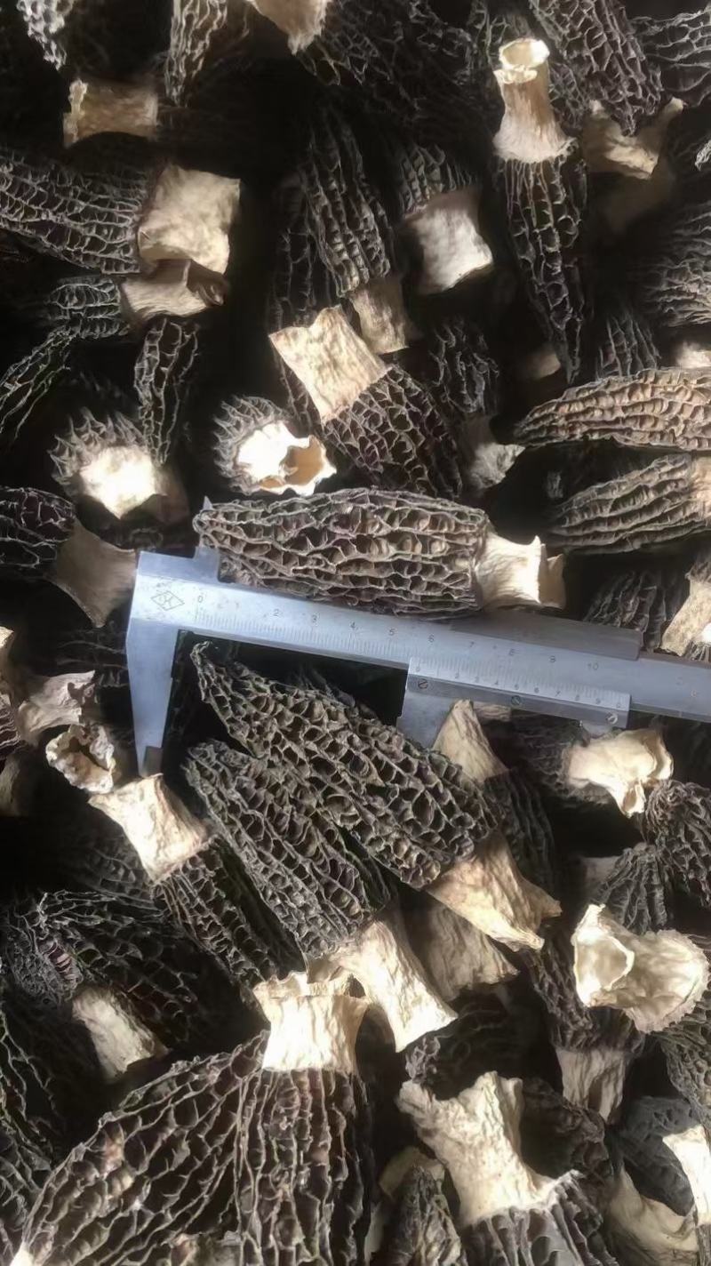 伏牛山八珍菌菇汤包80克采用上等食材健康美味