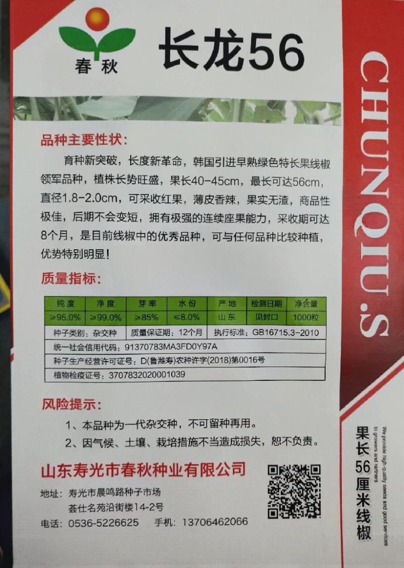 粗长线椒种子长龙56椒条长顺薄皮味香辣产量高