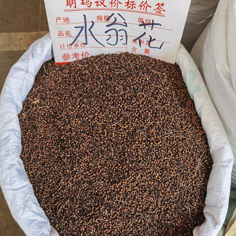 水翁花水翁子常年经营各种冷背药材批发零售一件代发