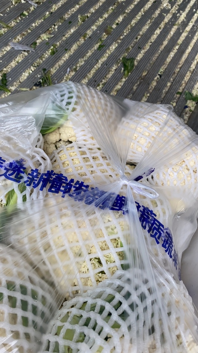 精品有机花菜松花菜大量上市中质量较好价格便宜