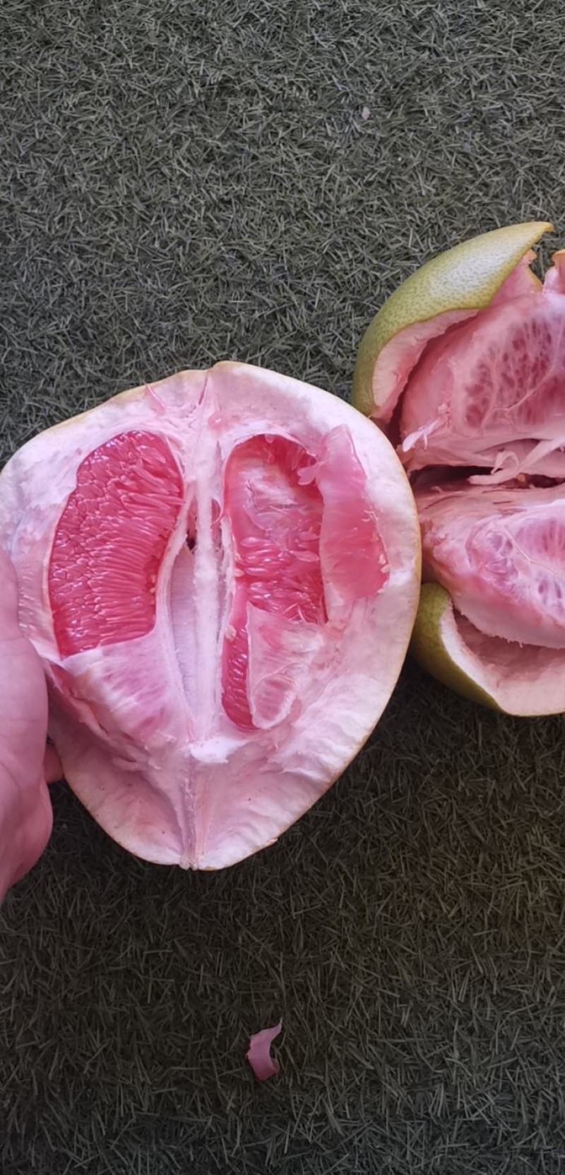 【三红柚】大量供应货源充足果大皮薄瓤肉无籽可视频看货