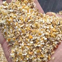 碎玉米净粮碎玉米玉米养殖用玉米东北玉米无尘碎玉米