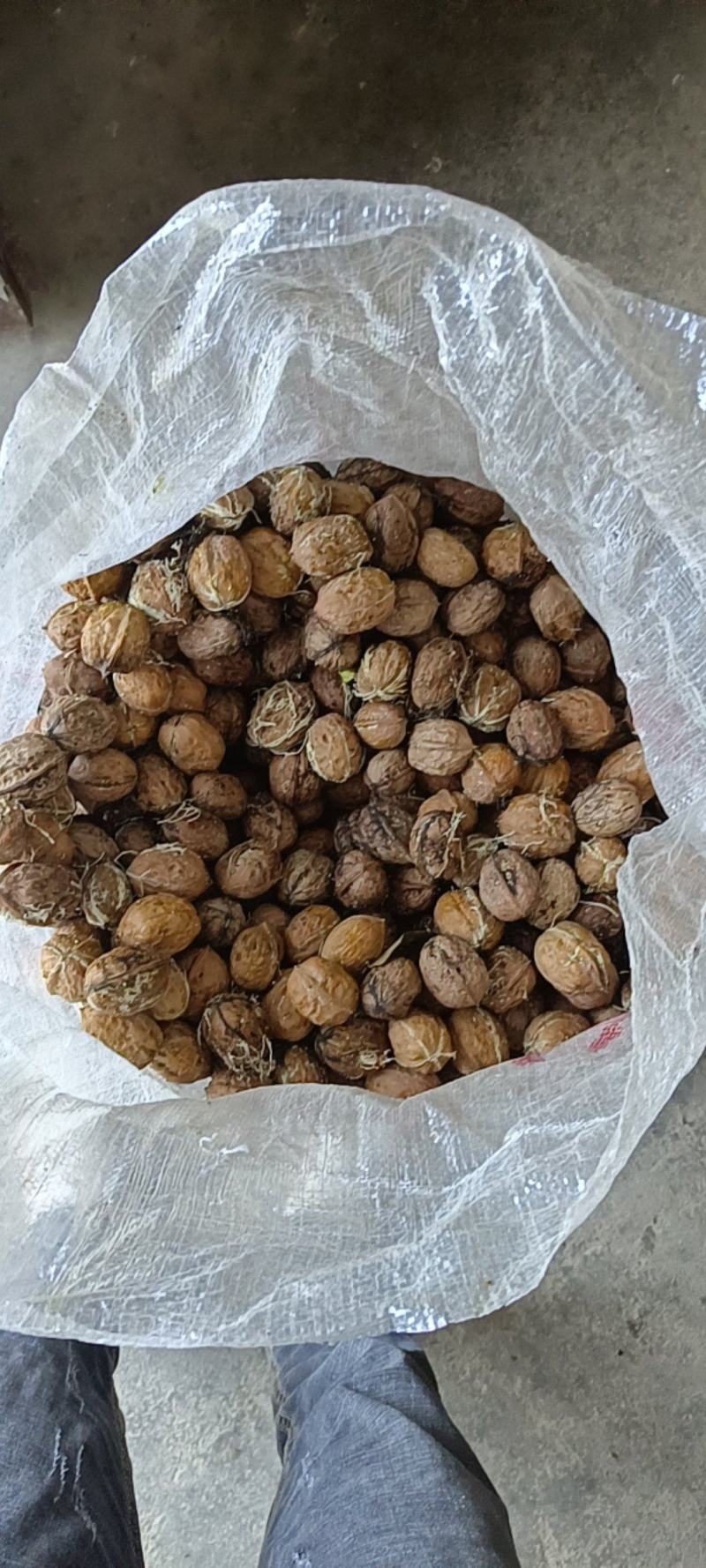 山地核桃产地一手货源品质保证全国发货欢迎选购