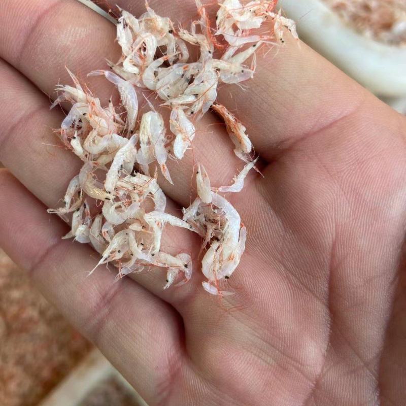 电商专用小虾皮