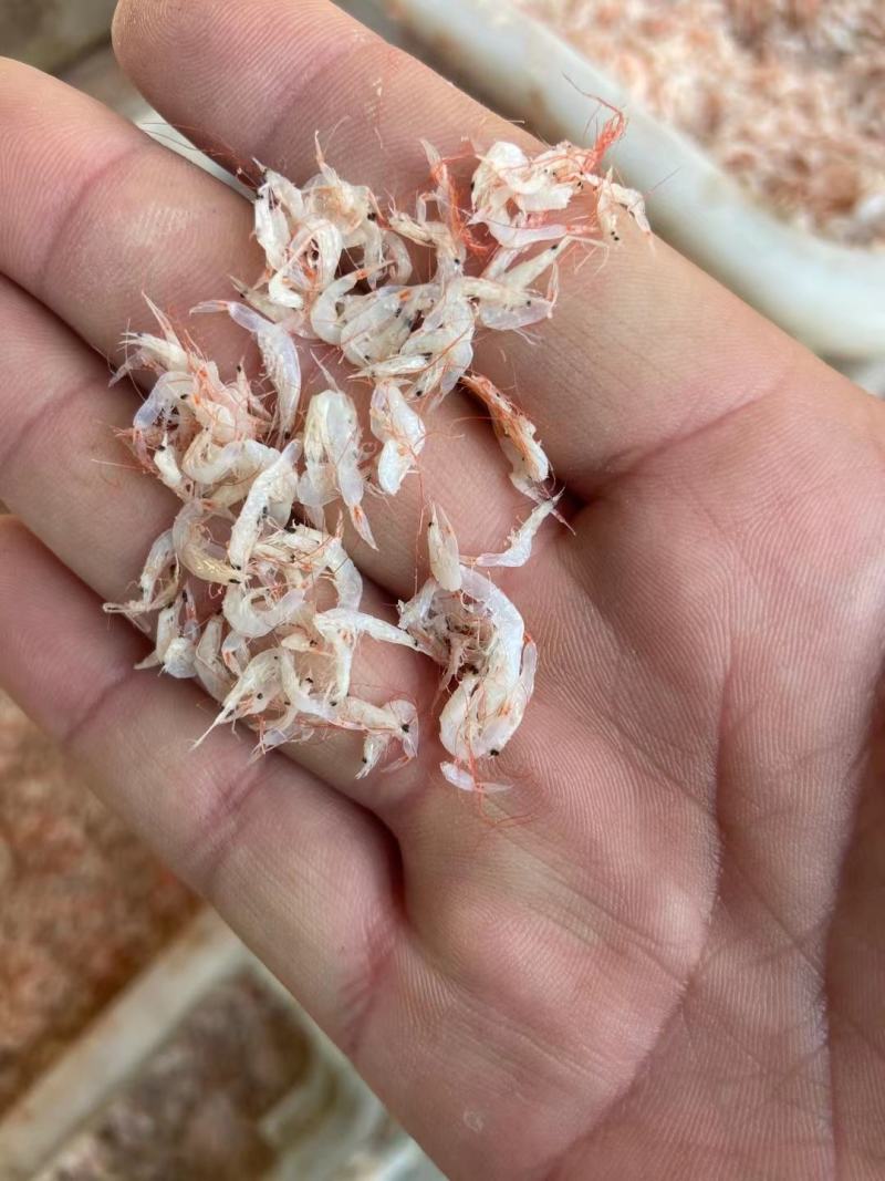 电商专用小虾皮