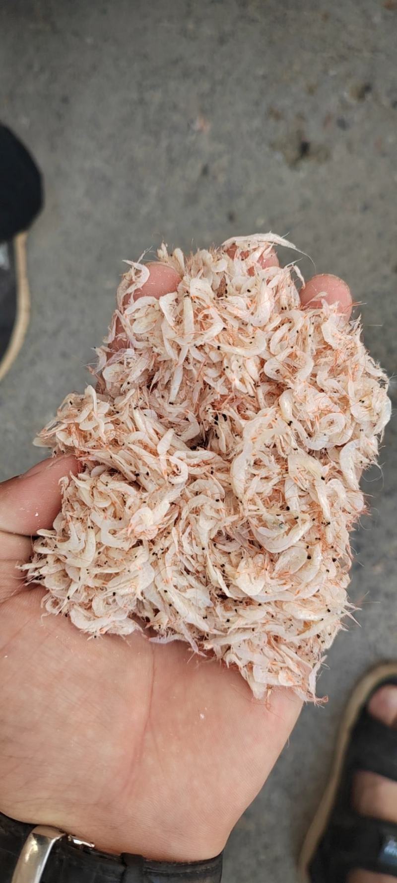 电商专用小虾皮