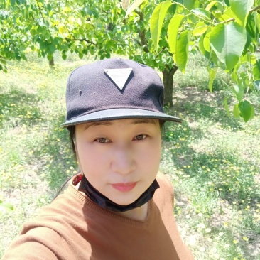 自家果园，大量批发雪花梨，鸭梨，欢迎各位老板光临！