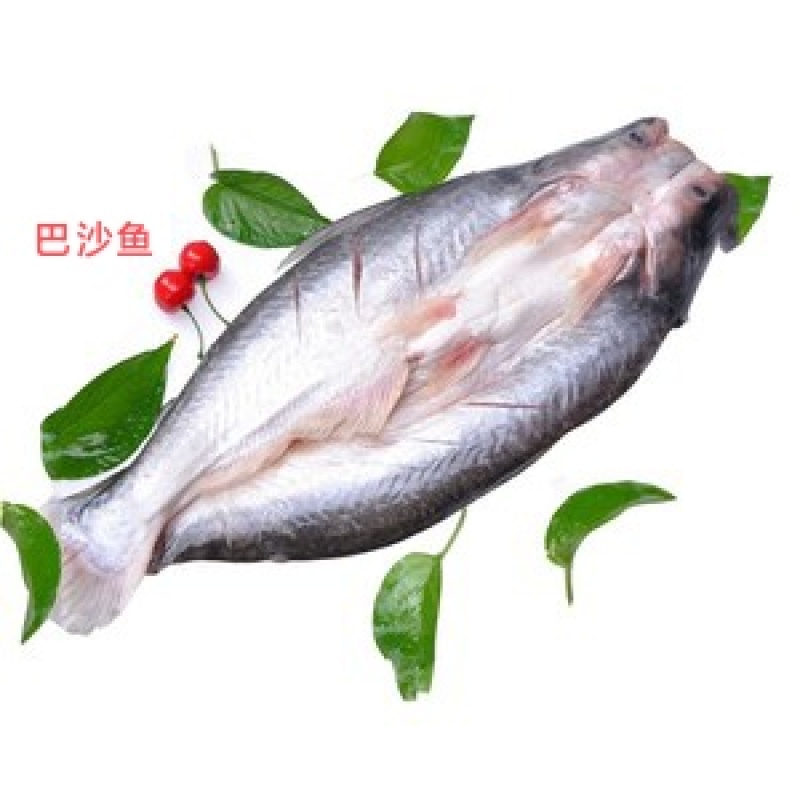 巴沙鱼（烤鱼店特色烤鱼，活鱼品质，无土腥味）