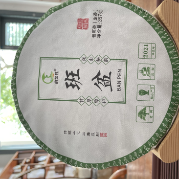 2021年春班盆老树