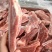 多肉扇子骨18斤颜色好带骨扇子骨，纯干货
