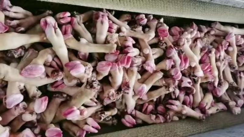 羊副产品
