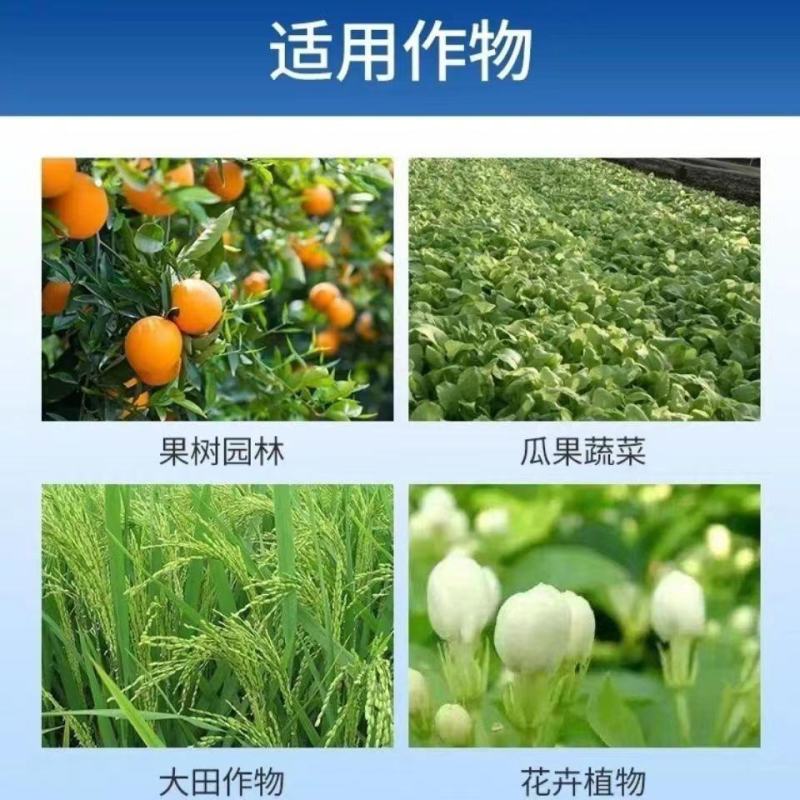 发酵大豆土壤改良剂益生菌生物蔬菜大棚有机肥发酵大豆