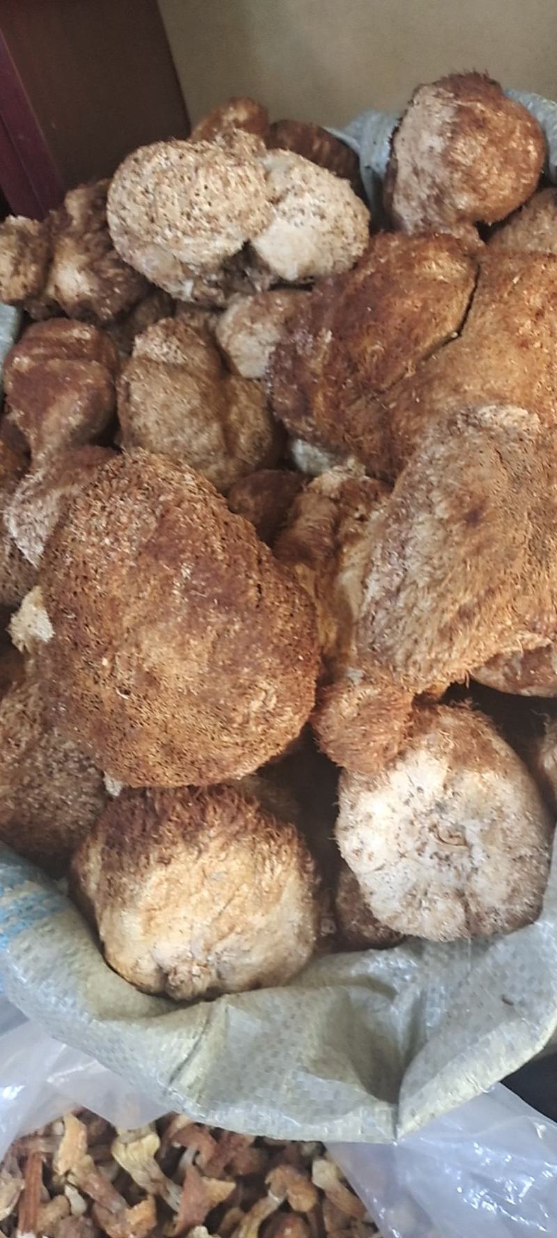 精品猴头菇，黑龙江产地发货，质量保证货源充，欢迎电联下单