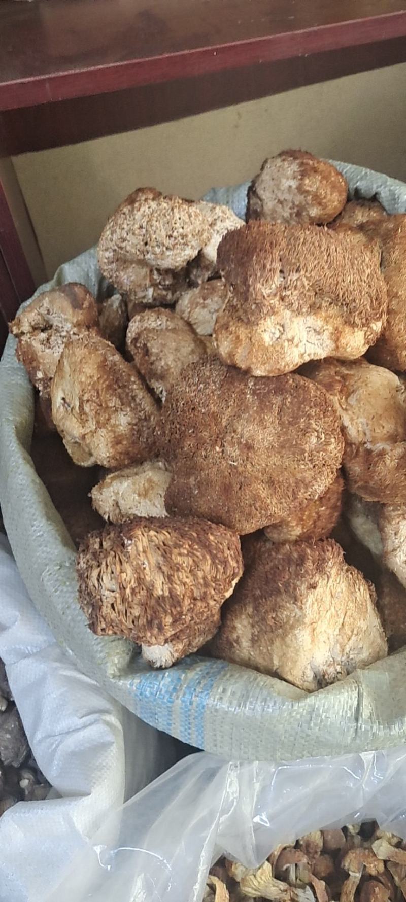 精品猴头菇，黑龙江产地发货，质量保证货源充，欢迎电联下单
